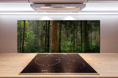 Salpicadero para cocina Niebla en el bosque