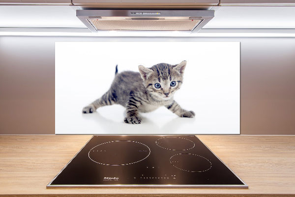 Salpicadero de cocina Pequeño gato