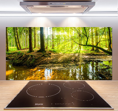 Panel antisalpicaduras Un estanque en el bosque