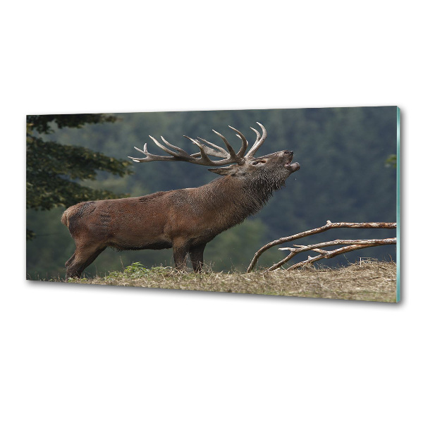 Panel antisalpicaduras Ciervos en la colina