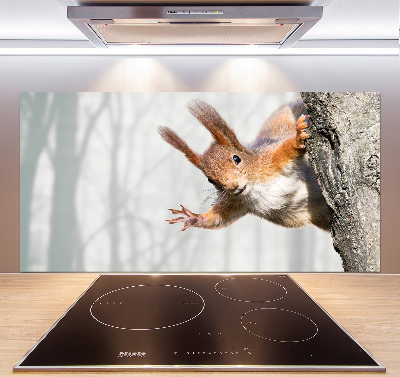 Panel para cocina Ardilla