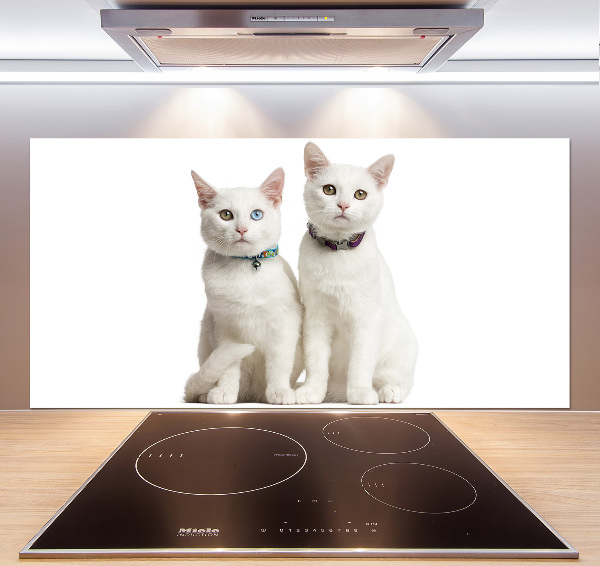 Panel de pared de cocina gatos blancos