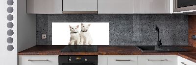 Panel de pared de cocina gatos blancos