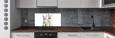 Panel de pared de cocina gatos blancos