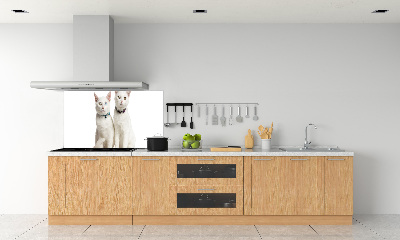 Panel de pared de cocina gatos blancos