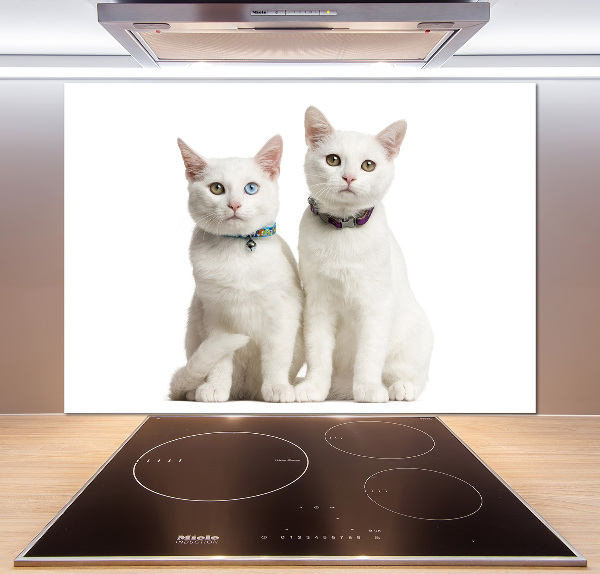 Panel de pared de cocina gatos blancos
