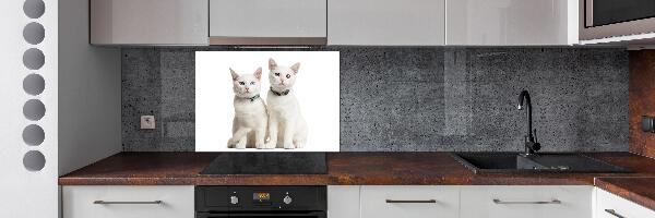 Panel de pared de cocina gatos blancos