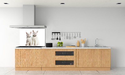 Panel de pared de cocina gatos blancos