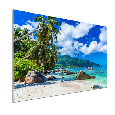 Panel antisalpicaduras Playa de Seychelles