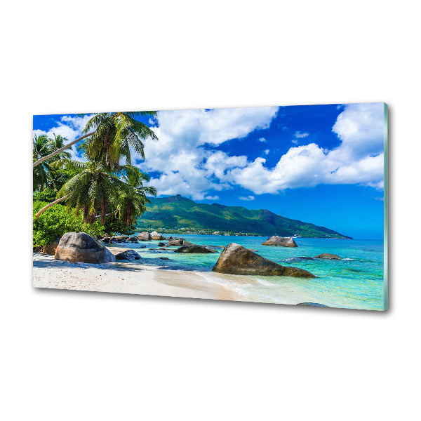Panel antisalpicaduras Playa de Seychelles