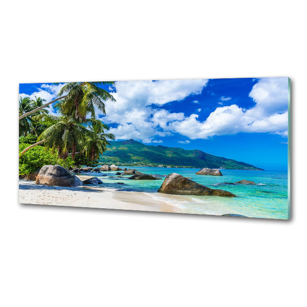 Panel antisalpicaduras Playa de Seychelles
