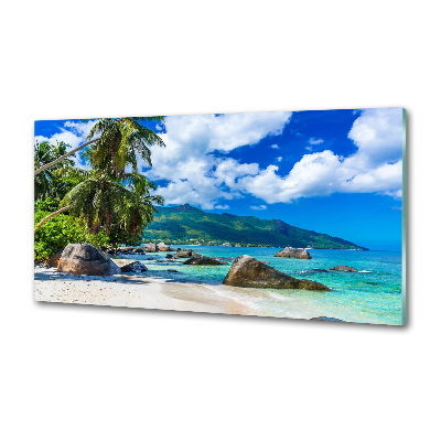 Panel antisalpicaduras Playa de Seychelles