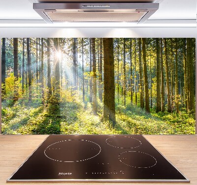 Salpicadero para cocina Bosque al sol