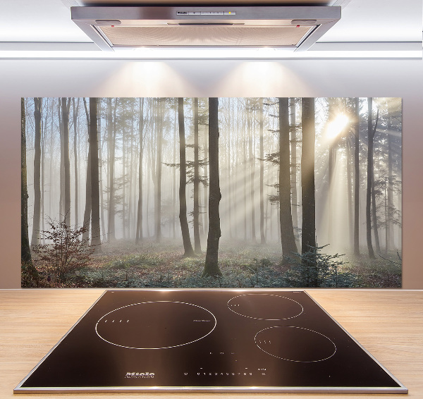 Panel de pared de cocina Niebla en el bosque