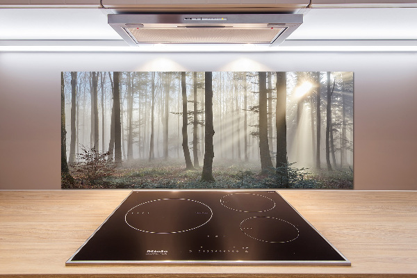 Panel de pared de cocina Niebla en el bosque