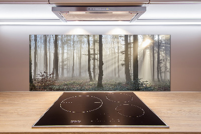 Panel de pared de cocina Niebla en el bosque