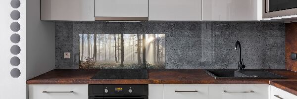 Panel de pared de cocina Niebla en el bosque