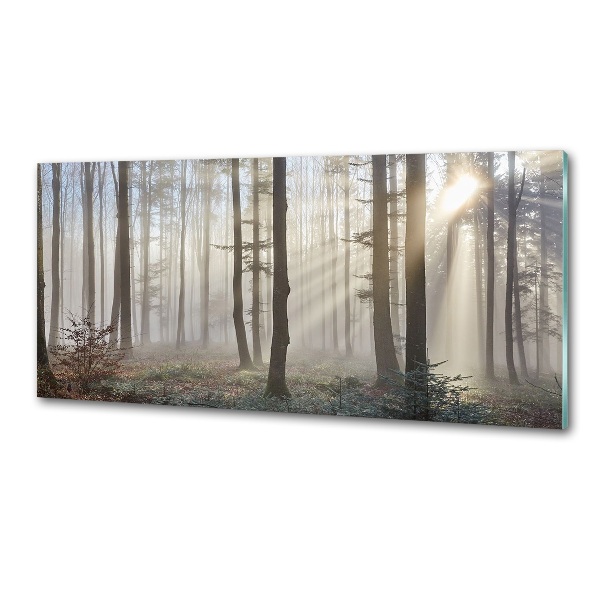 Panel de pared de cocina Niebla en el bosque