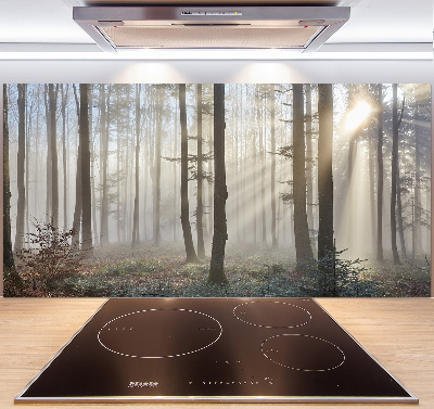 Panel de pared de cocina Niebla en el bosque
