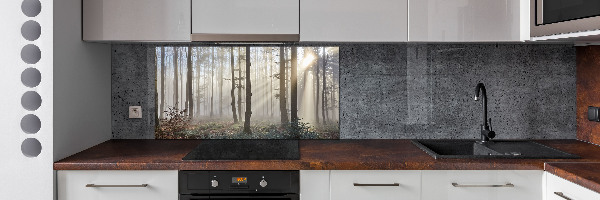 Panel de pared de cocina Niebla en el bosque