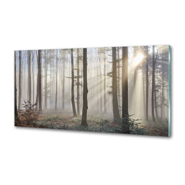 Panel de pared de cocina Niebla en el bosque