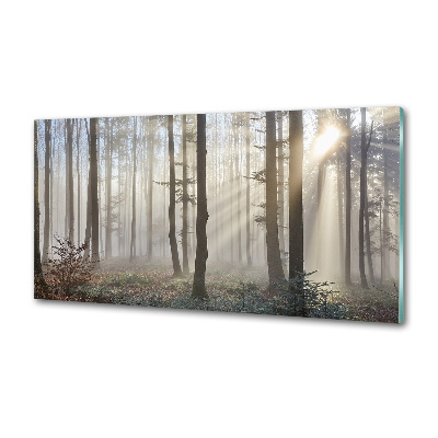 Panel de pared de cocina Niebla en el bosque