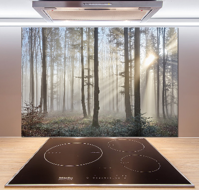 Panel de pared de cocina Niebla en el bosque