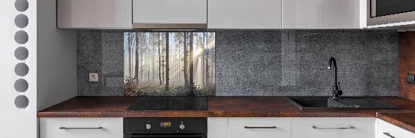 Panel de pared de cocina Niebla en el bosque