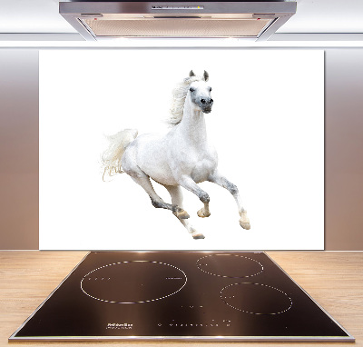Panel para cocina Caballo árabe blanco