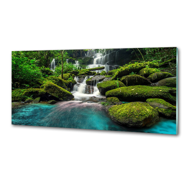 Panel antisalpicaduras Cascada en la selva