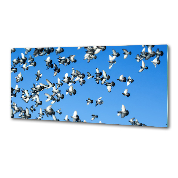 Salpicadero para cocina Una bandada de palomas
