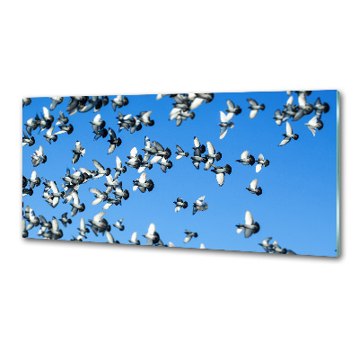 Salpicadero para cocina Una bandada de palomas