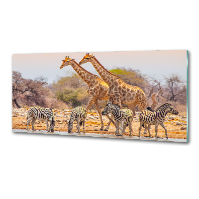 Panel de pared de cocina Jirafas y cebras