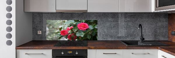 Panel de pared de cocina Camelia