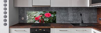 Panel de pared de cocina Camelia