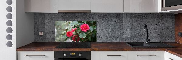 Panel de pared de cocina Camelia