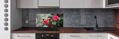 Panel de pared de cocina Camelia