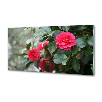 Panel de pared de cocina Camelia