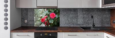 Panel de pared de cocina Camelia