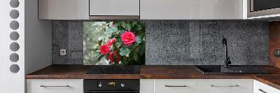 Panel szklany do kuchni Kamelia