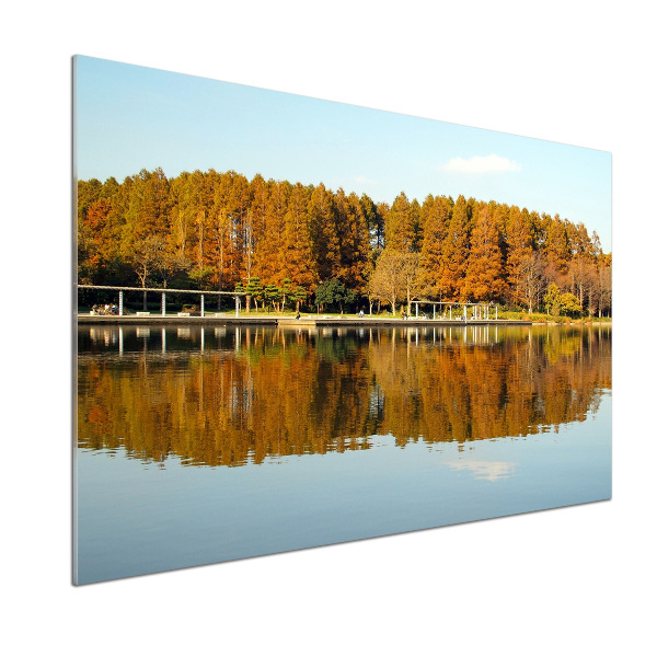 Salpicadero de cocina Bosque junto al lago