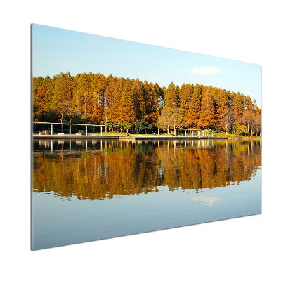 Salpicadero de cocina Bosque junto al lago