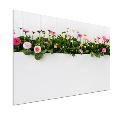 Panel antisalpicaduras margaritas rosas