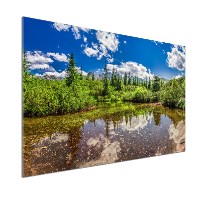 Panel antisalpicaduras Lago en el bosque