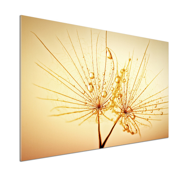 Salpicadero de cocina semillas de diente de león