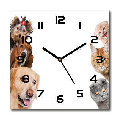 Reloj cuadrado Perros y gatos
