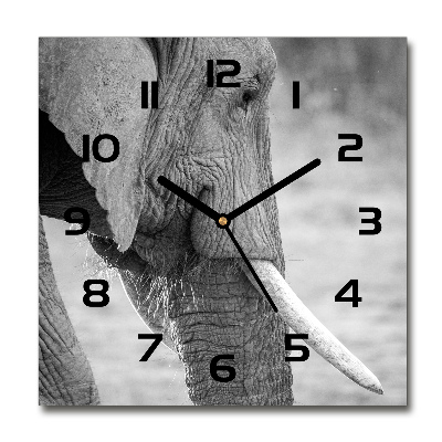 Reloj de pared cuadrado Elefante