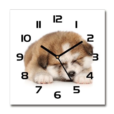 Reloj de pared cuadrado Cachorro de Akita