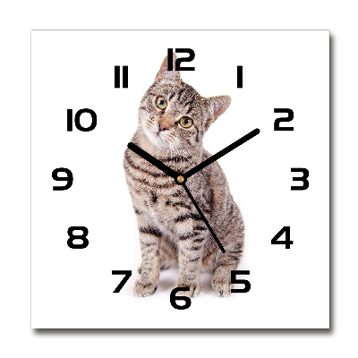 Reloj cuadrado Gato