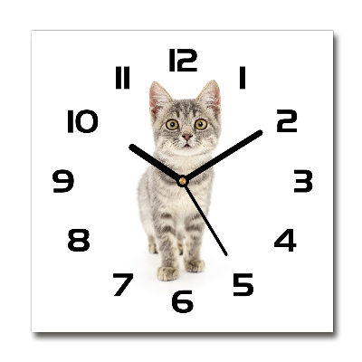 Reloj de pared cuadrado gato gris
